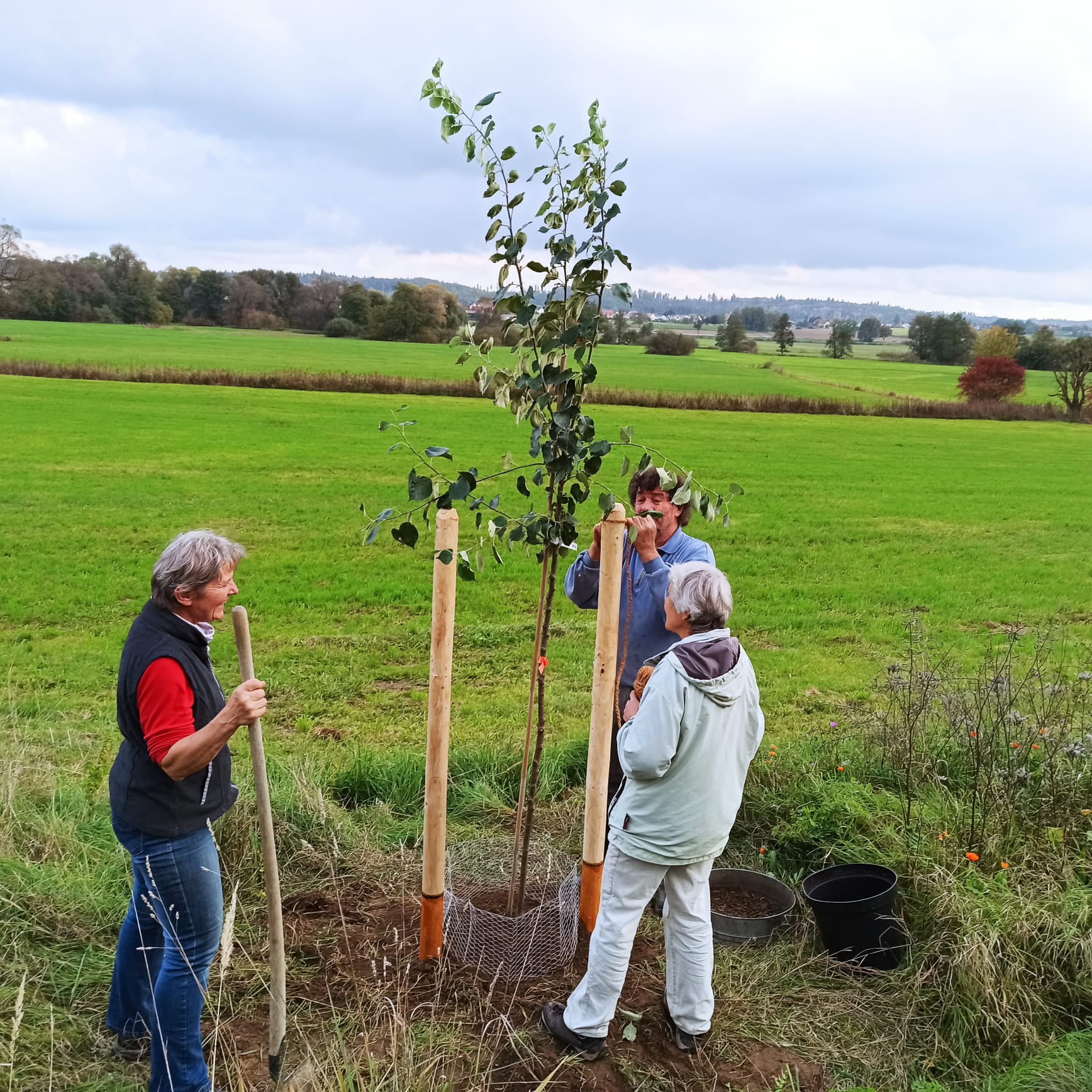 Pflanzaktion_Diedorf_Imkerverein_Naturpark.jpg
